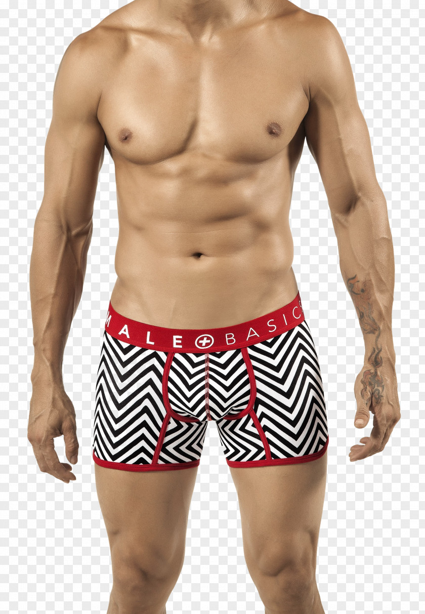 Trunks Waist Boxer Briefs Shorts PNG