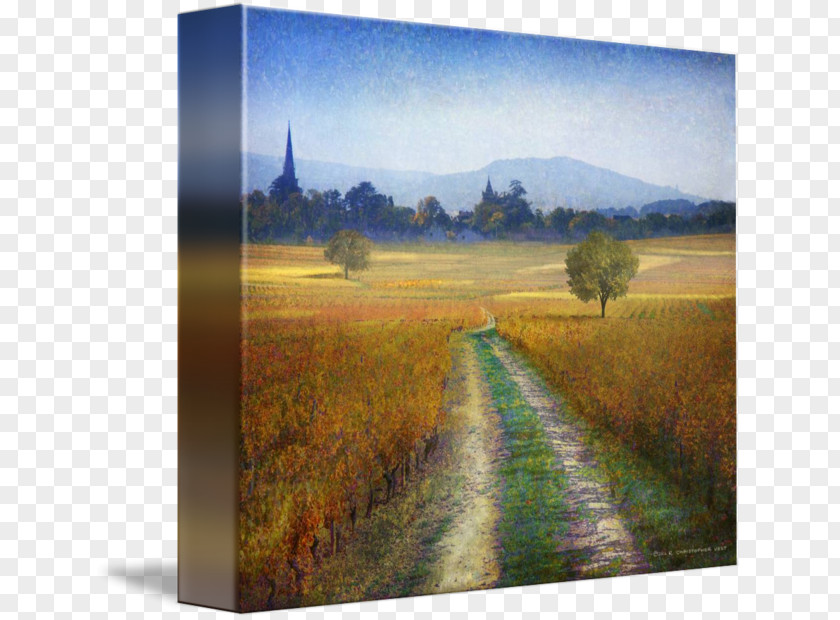 Anne Amie Vineyards Ecosystem Nature Painting Meadow Grasses PNG
