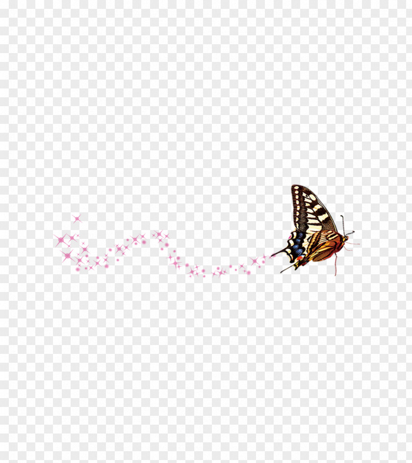Butterfly Flower Pattern PNG