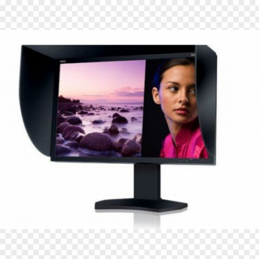 Computer Monitor Monitors IPS Panel Liquid-crystal Display SpectraView Reference 272 LCD-Display 68,5 Cm (27