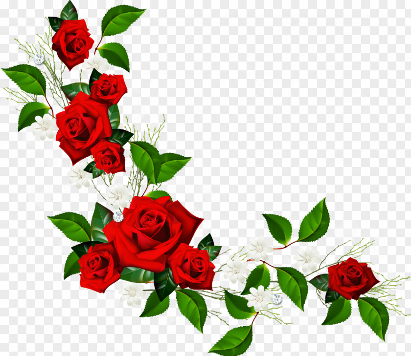 Rose Border Flower Red Clip Art PNG