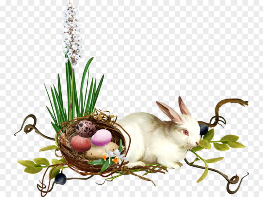 Elephant Rabbit Easter Bunny Clip Art PNG