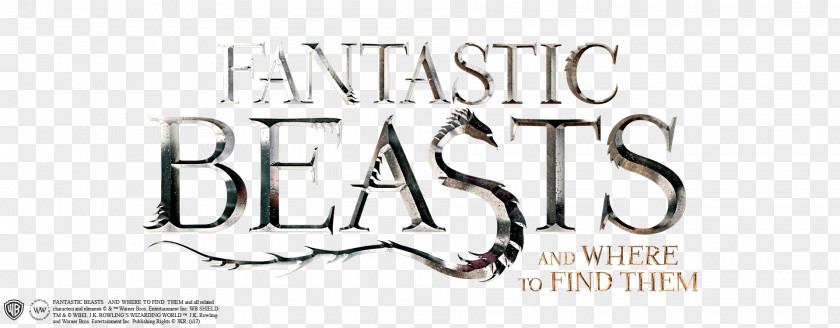 Fantastic Beasts Newt Scamander And Where To Find Them Gellert Grindelwald Jacob Kowalski Queenie Goldstein PNG