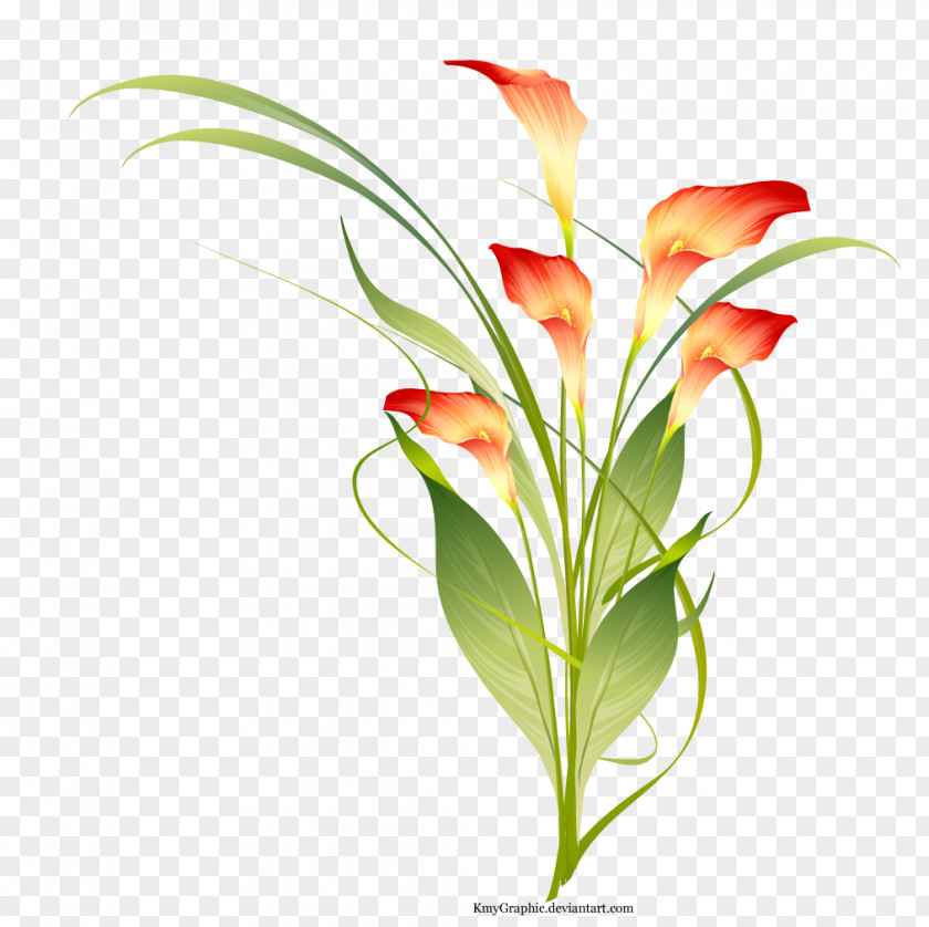 Nursery Flower Clip Art PNG