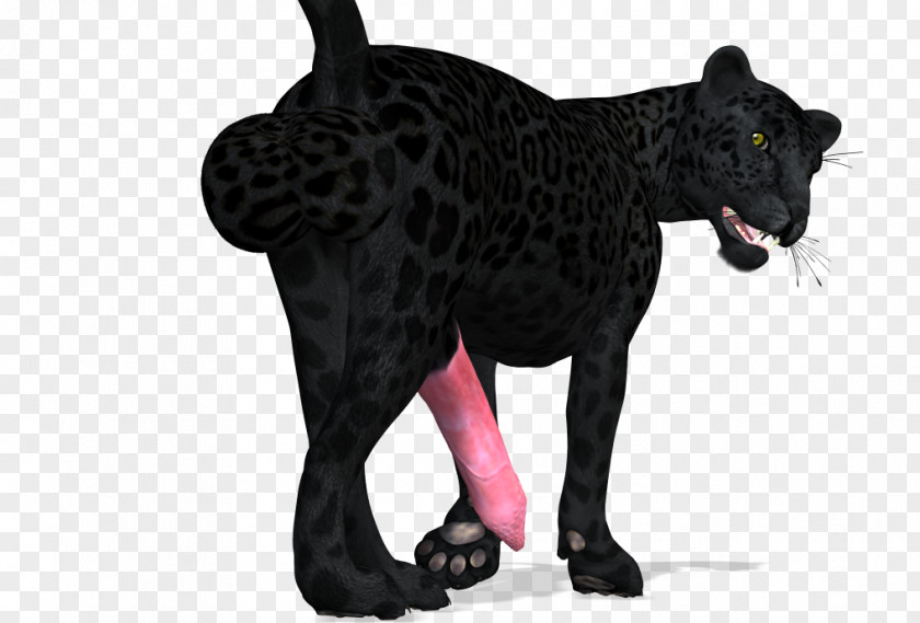 Cat Panther PNG
