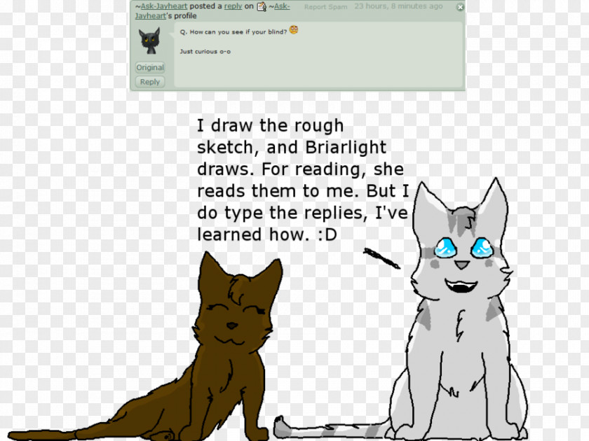 Cat Whiskers Dog Jayfeather Mammal PNG
