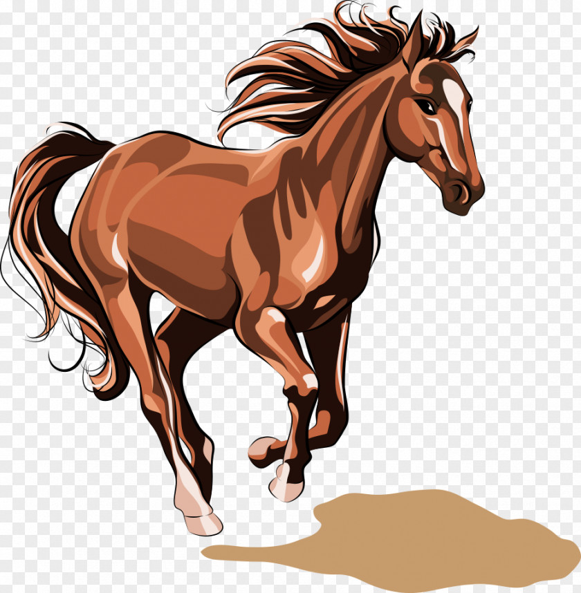 Horse Chinese Zodiac Stock Illustration PNG