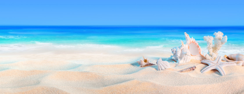 Sunny Beach Dolarog Shore Holiday PNG Holiday, sand, starfish and shells clipart PNG