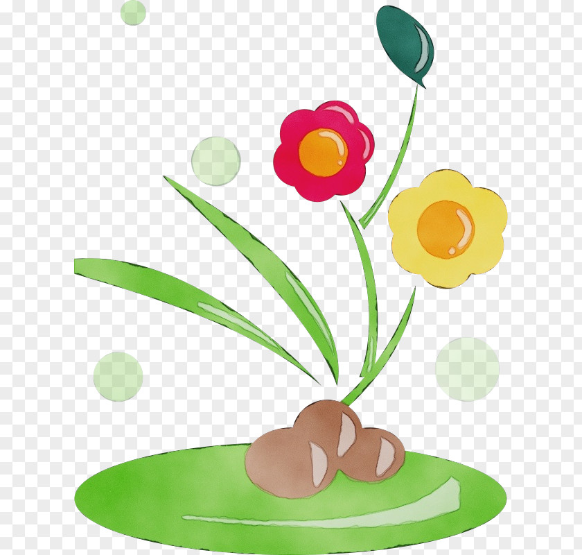 Tulip Cut Flowers Flower Plant Stem PNG