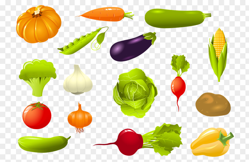 Vegetable Celery PNG