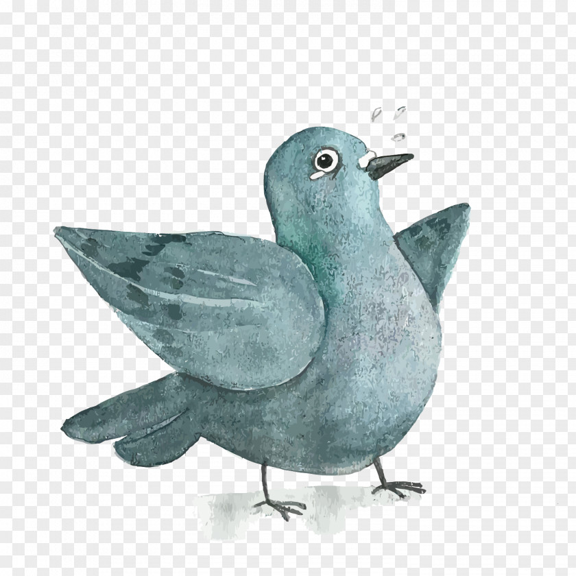 Blue Pigeons PNG