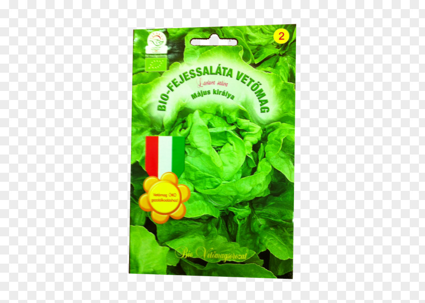 Bok Choy Leaf Vegetable Főzelék Plant Stem PNG