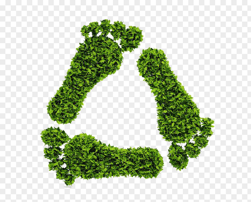 Environmental Protection Green Leaves Footprints Recycling Symbol Ecological Footprint Ecology Environmentally Friendly PNG