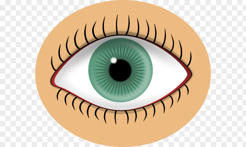 Eye Art Clip Human Iris PNG
