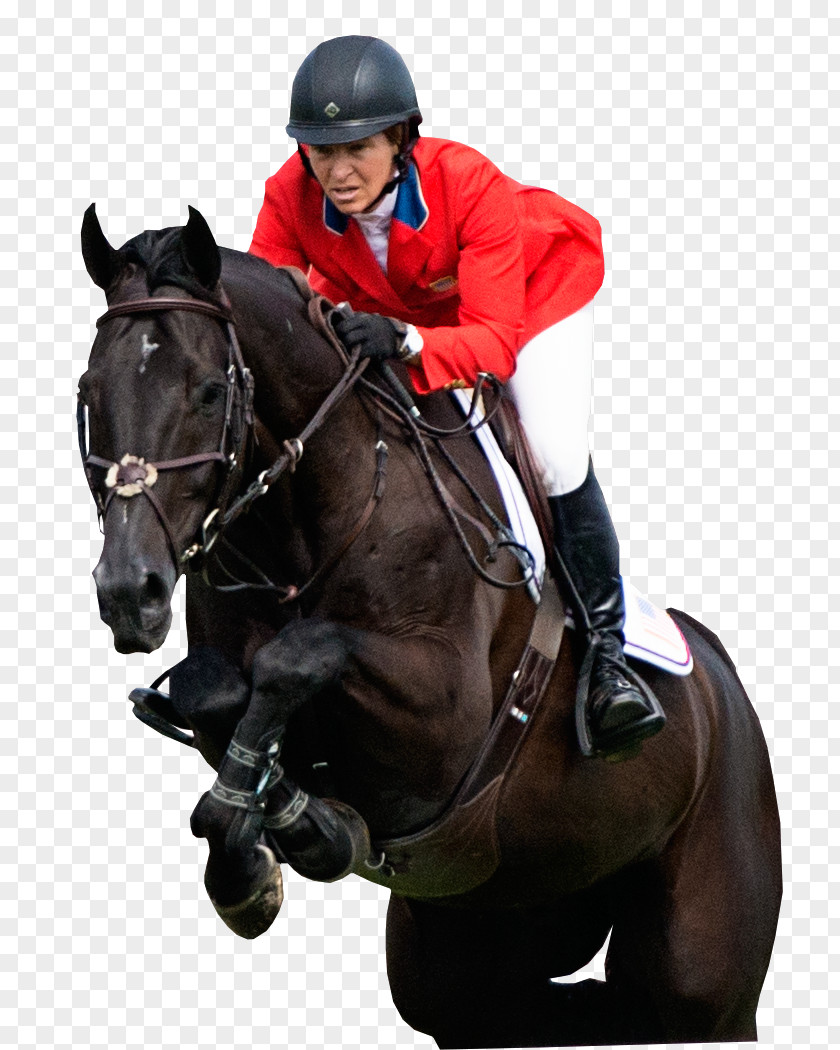 Horse Riding FEI World Equestrian Games Show Jumping Bridle PNG