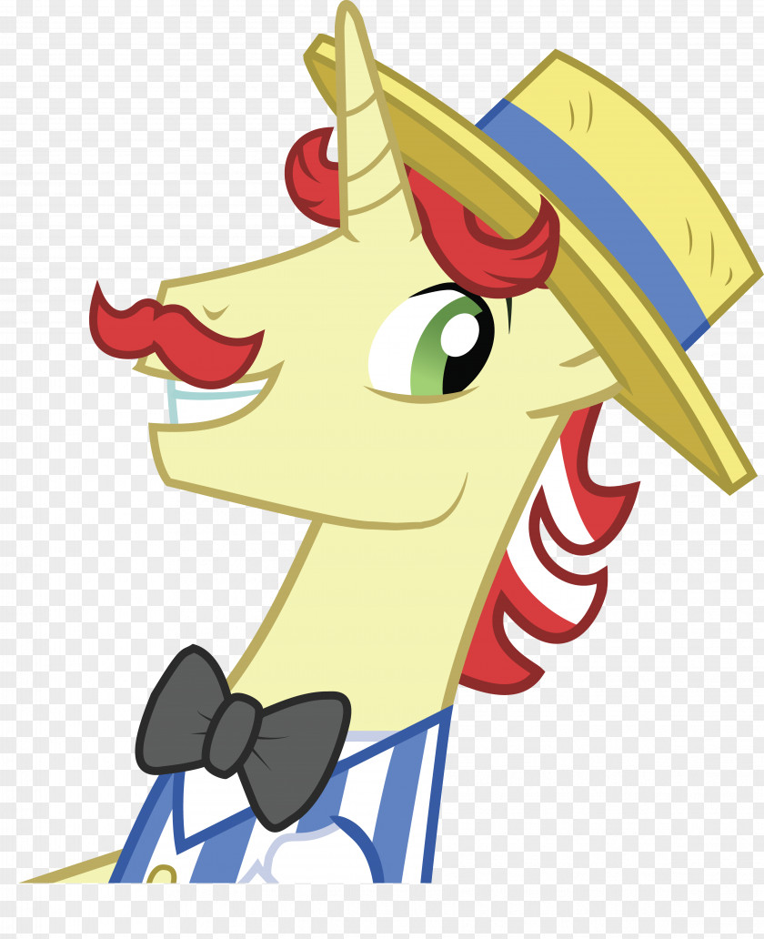 My Little Pony Derpy Hooves Rarity Twilight Sparkle Rainbow Dash PNG