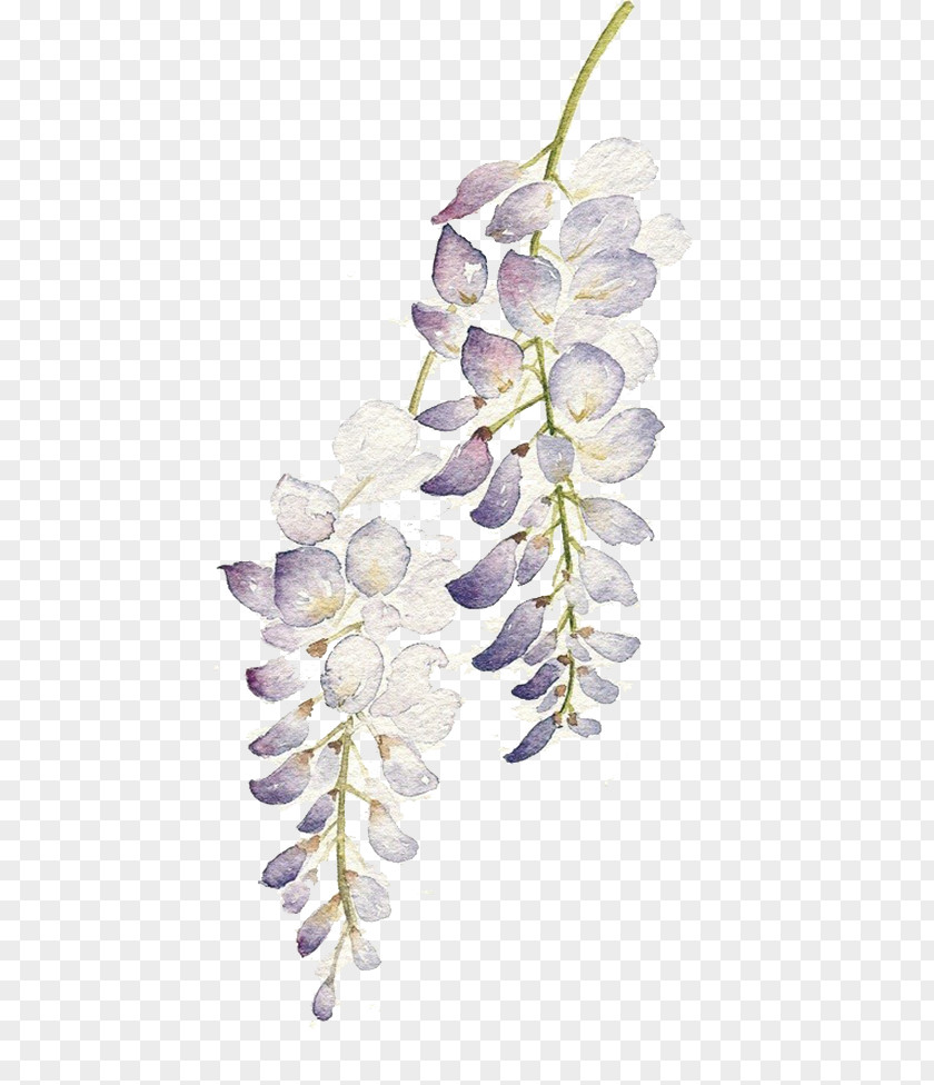 Purple Flower String Watercolor: Flowers Watercolour Watercolor Painting PNG