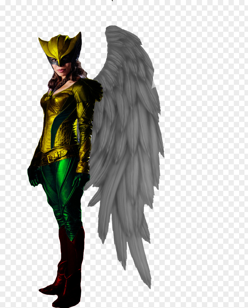Hawkgirl Injustice: Gods Among Us Commander Steel Comics PNG