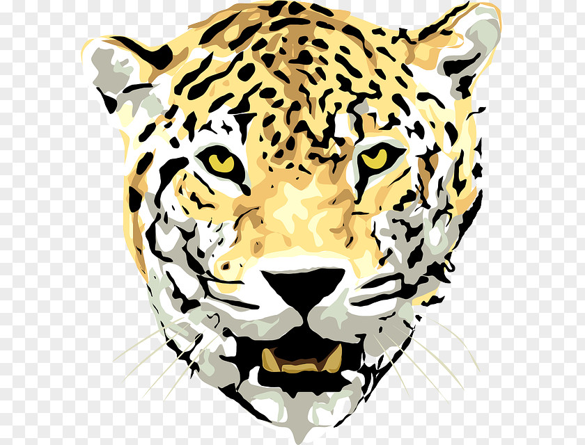 Jaguar Felidae Cheetah Clip Art Tiger PNG