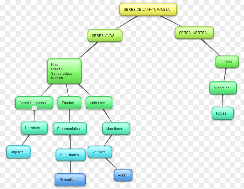 Mind Map Organism Nature Story HTML5 Video PNG