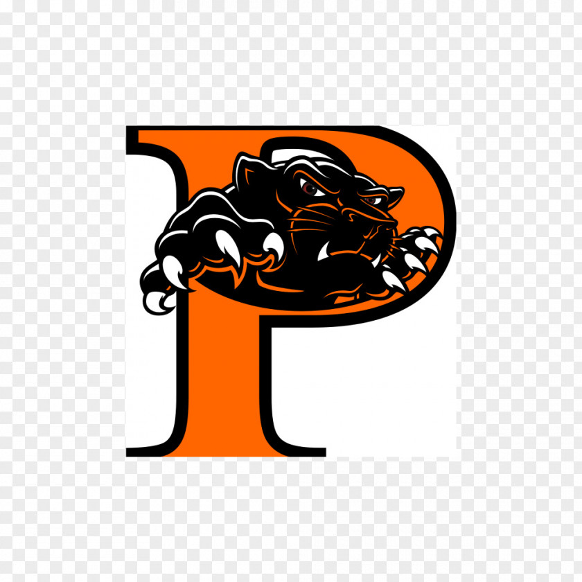 School Raymore–Peculiar High Palmyra Ladue District 2017 Carolina Panthers Season PNG