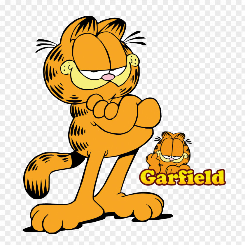 Cat Popular Names Odie Cartoon Garfield PNG