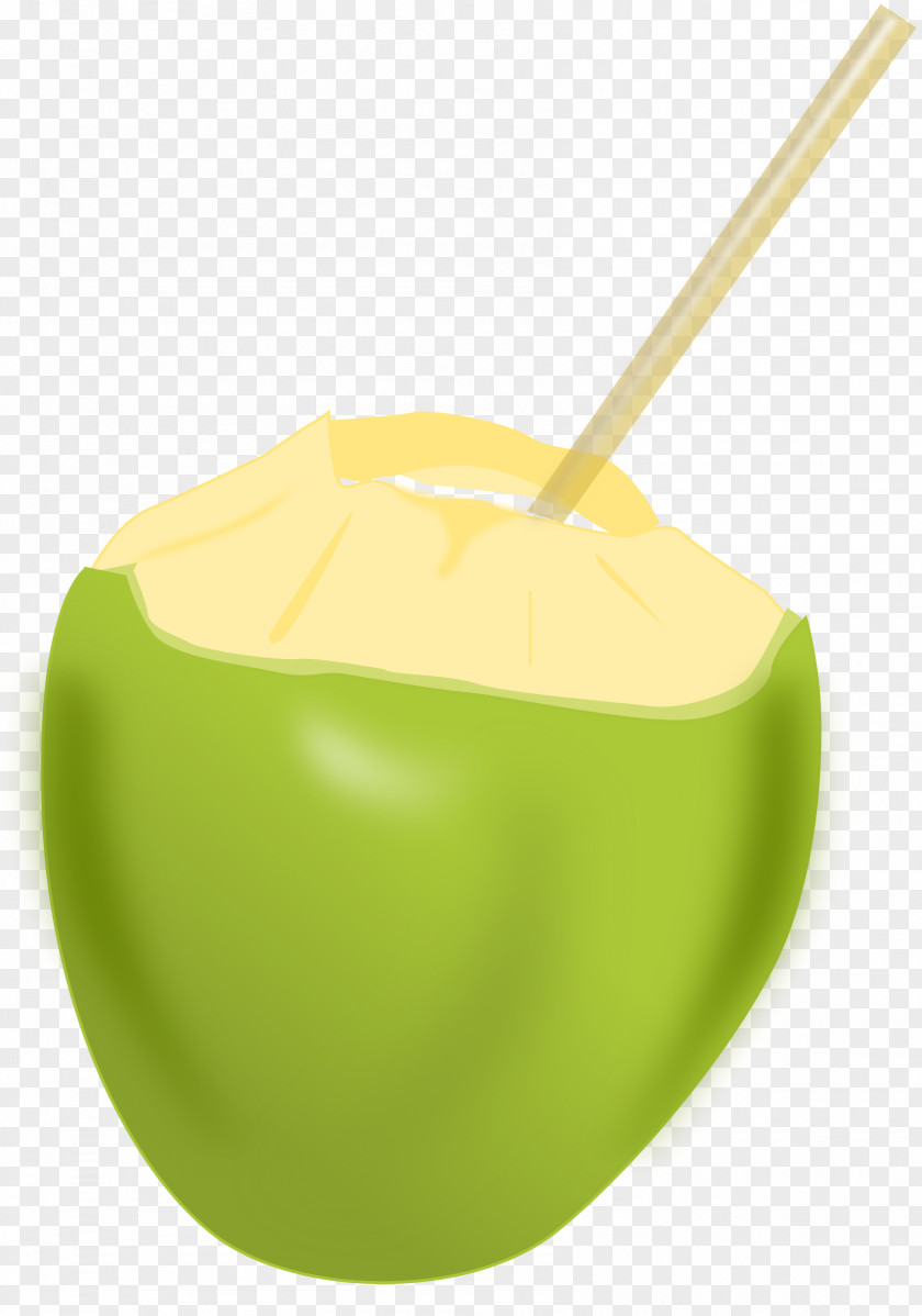 Dates Coconut Water Arecaceae Clip Art PNG