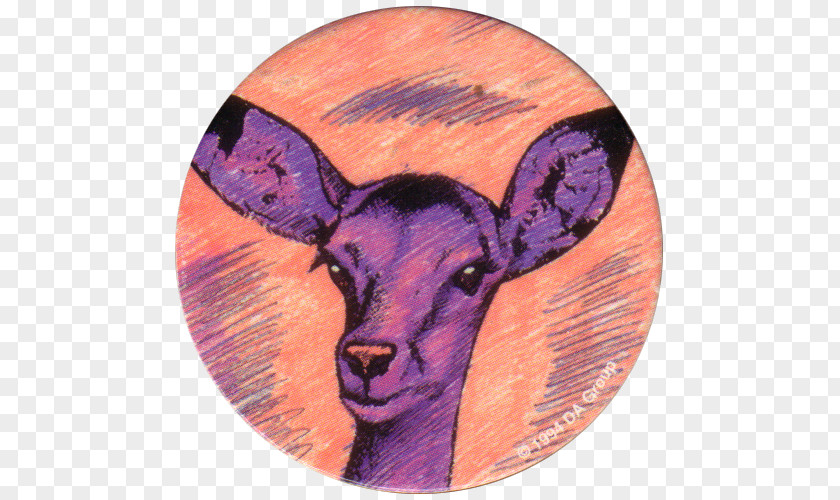 Goat Fauna Livestock Snout PNG