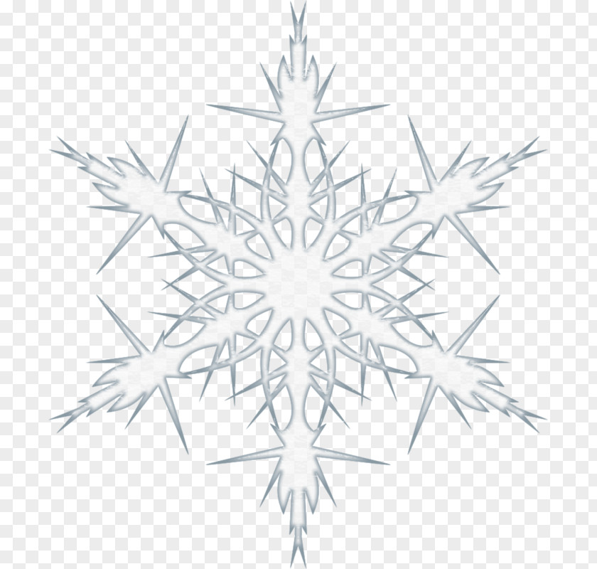 Hexagonal Snowflakes Hexagon Snowflake Euclidean Vector Ice Ih PNG