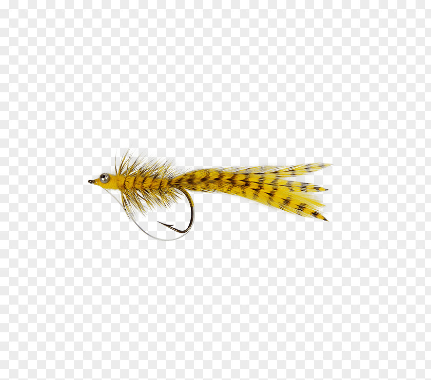 Mount Holly Springs Woolly Bugger Roundworms Fly Fishing Bait PNG