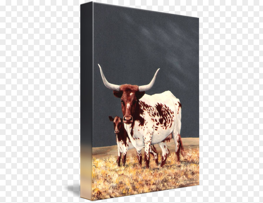 Watercolor Cow Texas Longhorn English Ox Calf PNG