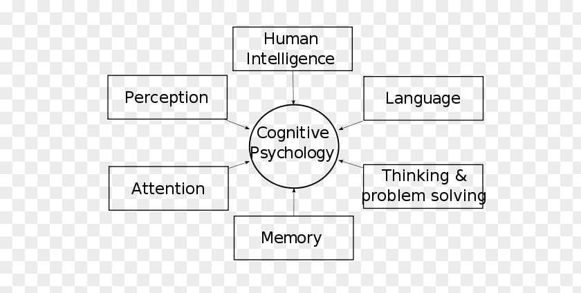 Cognitive Psychology Cognition Behaviorism Mental Process PNG