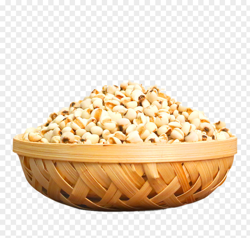 Dustpan Barley Rice Chrysanthemum Tea Adlay Popcorn Food PNG