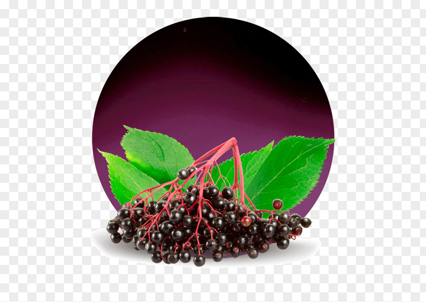 Elderberry Juice Berries Zante Currant Pink Peppercorn Fruit Concentrate PNG