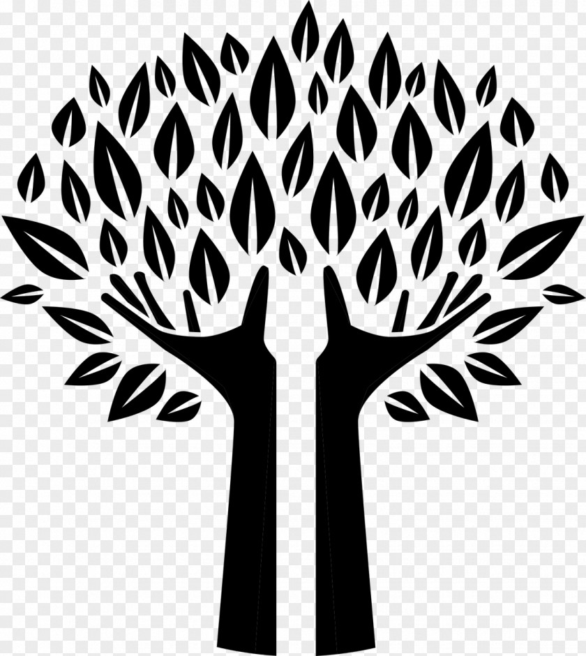 Grove Vector Silhouette Tree Clip Art PNG