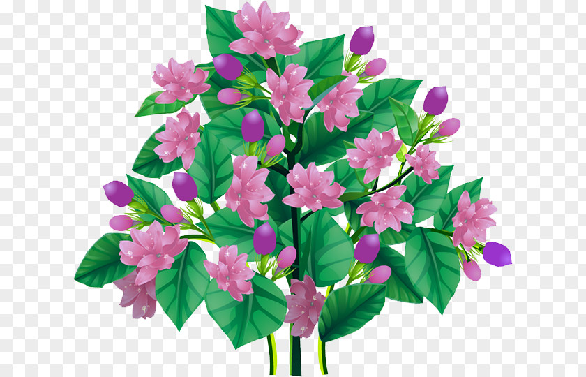 Plant Floral Design Adobe Animate Flash Player Animation Download PNG