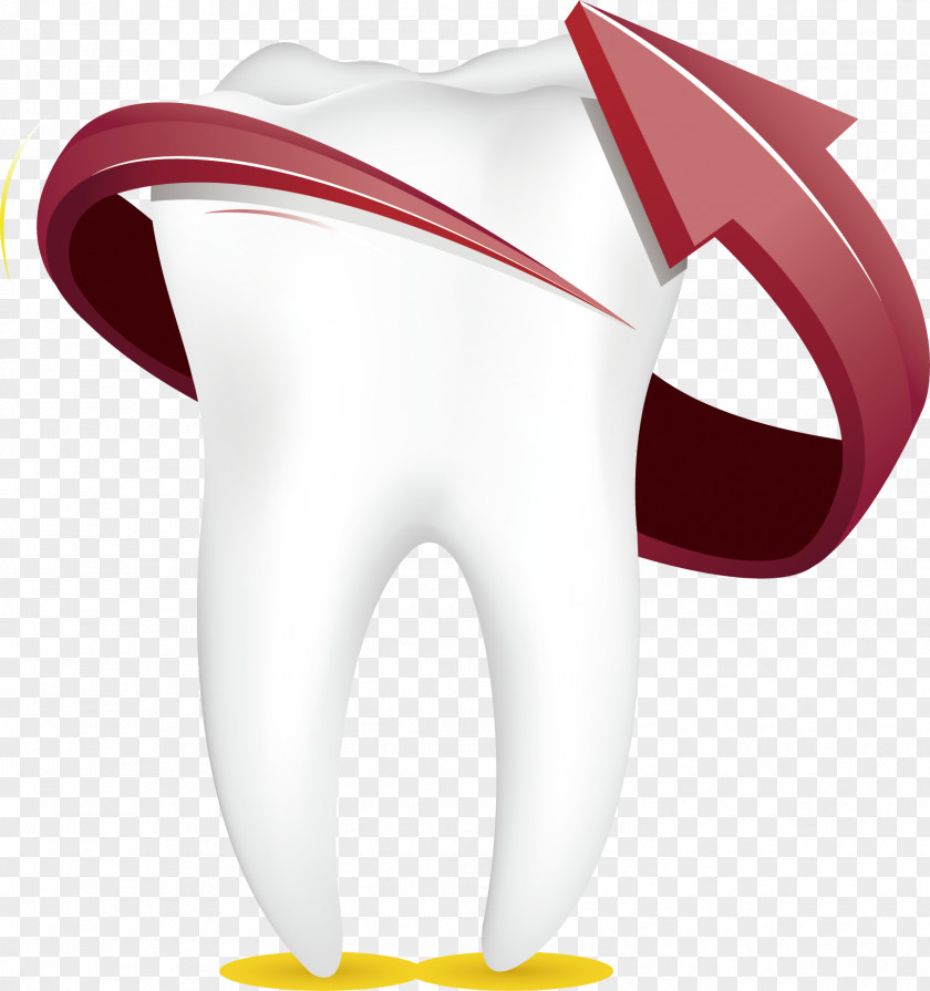 Protect Teeth Tooth Euclidean Vector Cartoon PNG