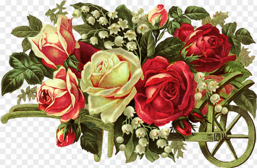 Rose Flower Royalty-free Clip Art PNG
