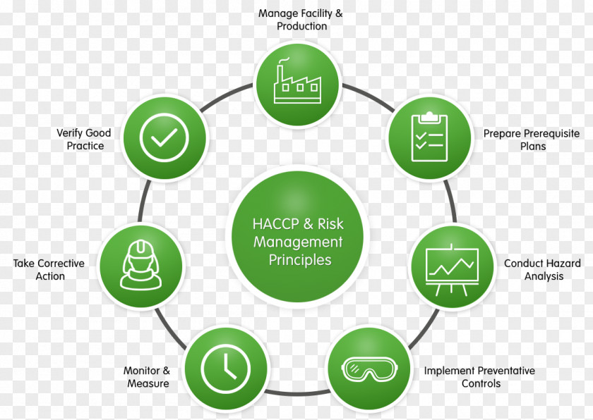 World Health Day Business Process Improvement Management Model PNG