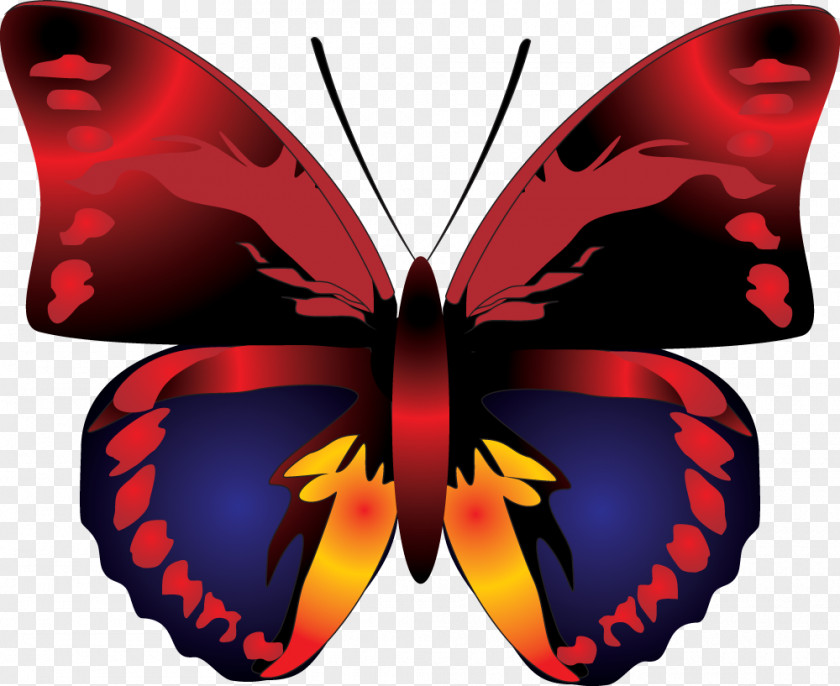 Butterfly Image Red Clip Art PNG