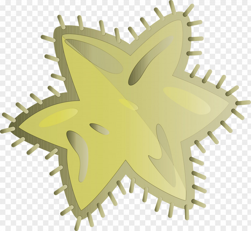 Star PNG