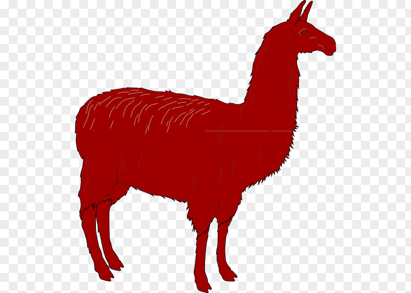 T-shirt Llama Alpaca Spreadshirt Zazzle PNG