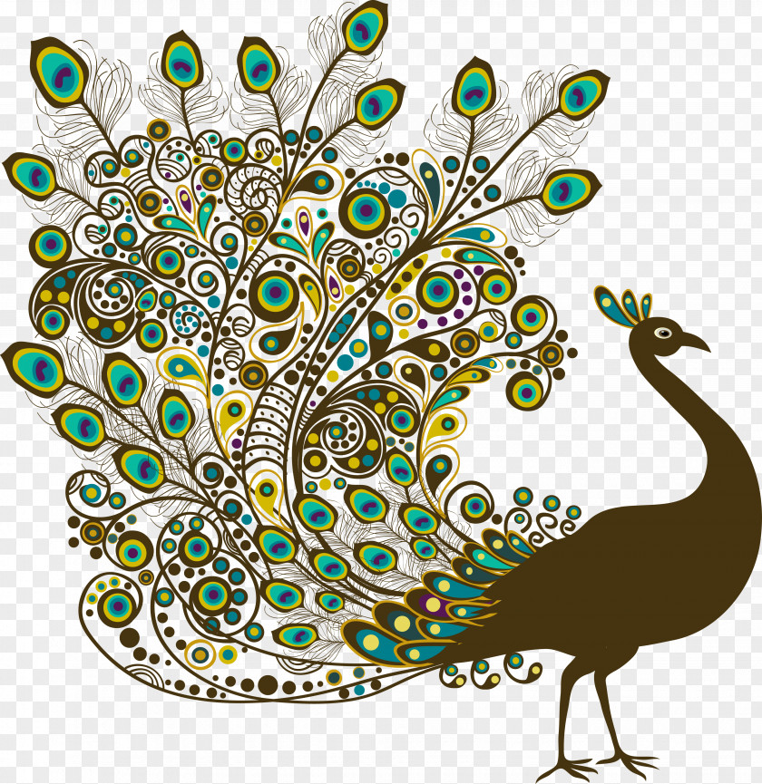 Vector Beautiful Peacock Bird Peafowl Feather PNG