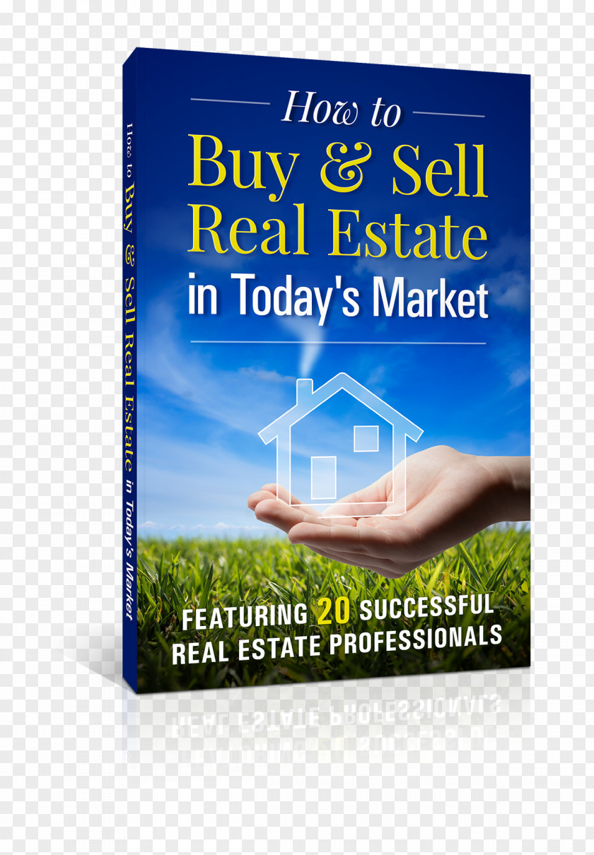 Book Puerto Vallarta Brand Real Estate Product PNG