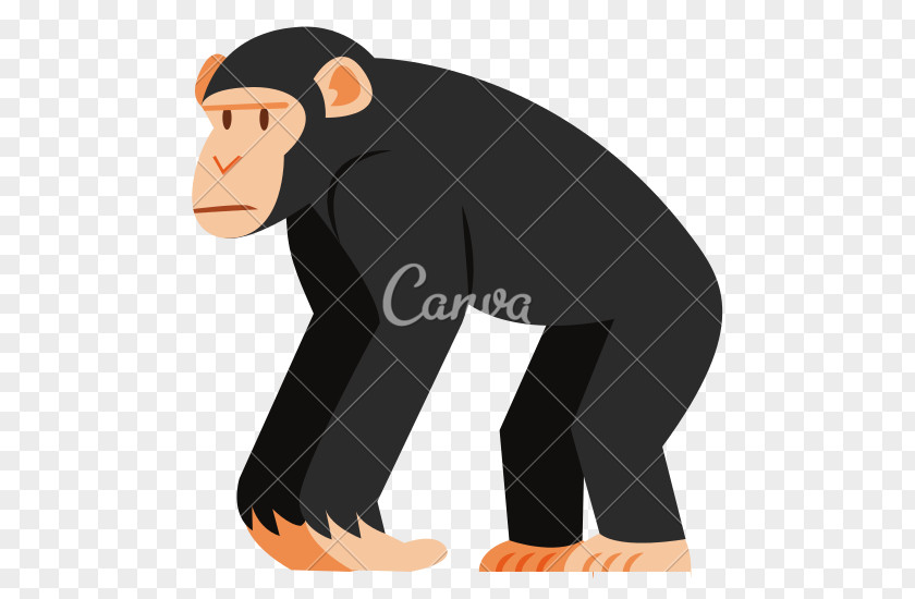 Chimpanzee Ape Cartoon Monkey PNG