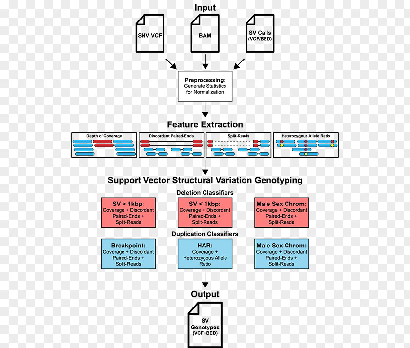 Delimiter Vector Structural Variation Genotyping Genotype Genetic Libraries.io PNG