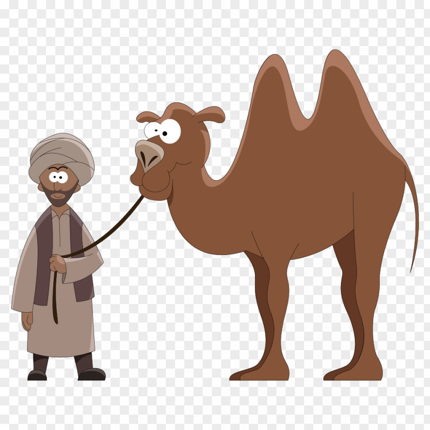 Led Camel Vector Man Dromedary Cartoon Royalty-free Clip Art PNG