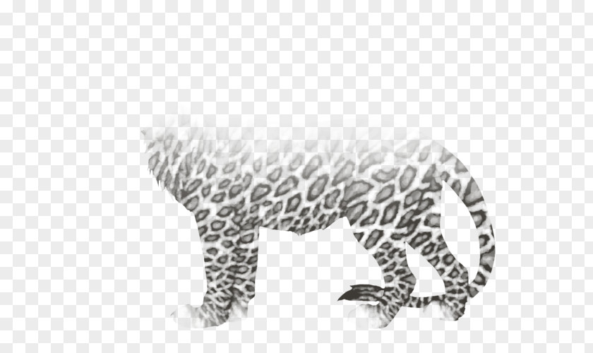 Tiger Leopard Jaguar Dog Canidae PNG