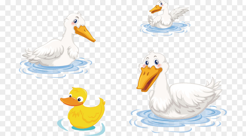 Cartoon Swan Duck Cygnini Goose Clip Art PNG