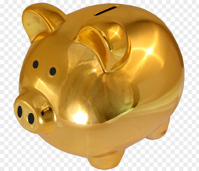 Golden Pig Piggy Bank Saving Money Gold PNG